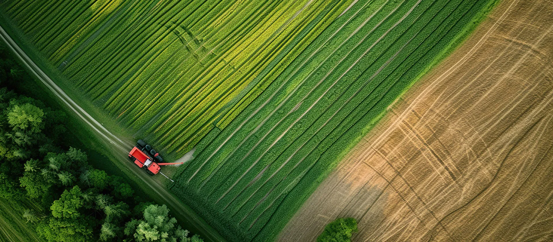 2025-05-05-blog-hero-reimagining-agriculture-efficiency-1920x840