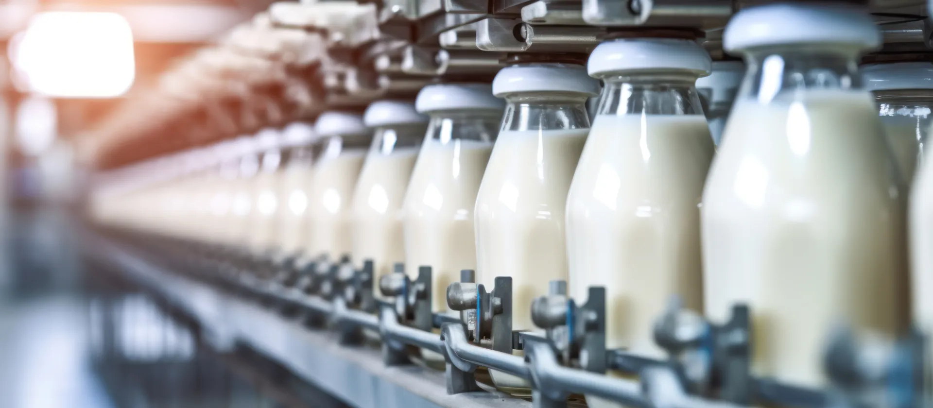 SAP Dairy Management by msg global