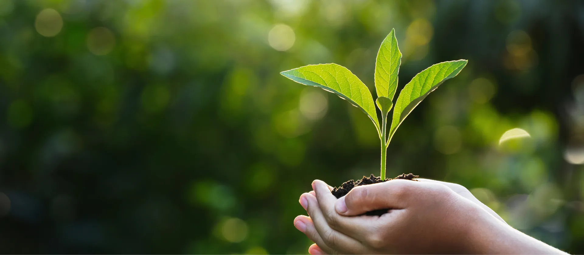 sustainability-solutions-main-photo