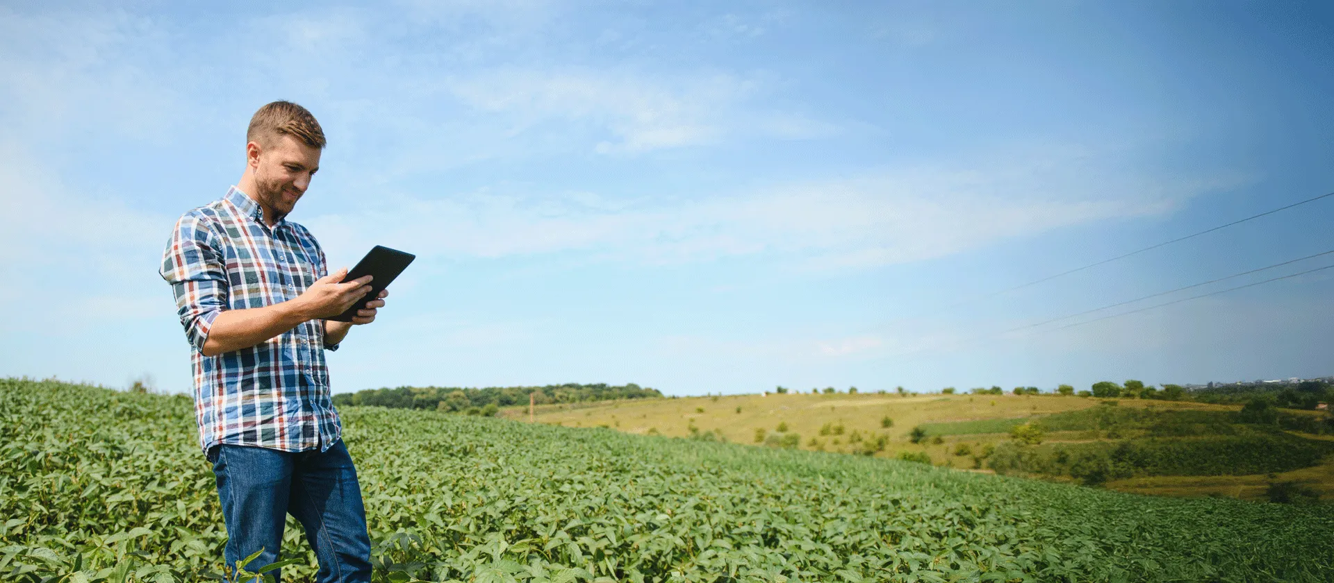 Farmer using a digital tablet for msg digital farmer to monitor crops in a green field under a clear blue sky.