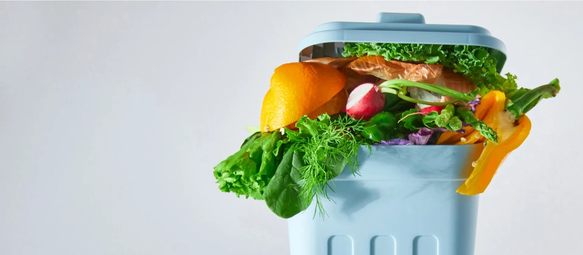 2024-10-16-blog-hero-World-Food-Day-2024