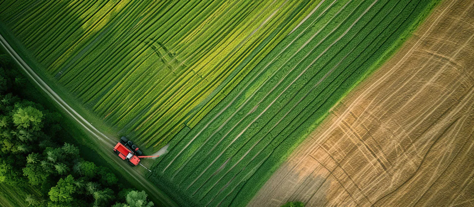 Aerial view of a harvester working in green fields beside a forest, symbolizing precision agriculture and sustainability.
