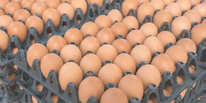 Sorting and billing consumer eggs with SAP Food Management by msg