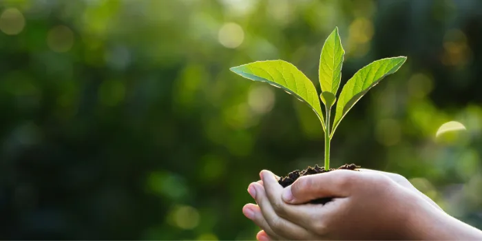 sustainability-solutions-main-photo