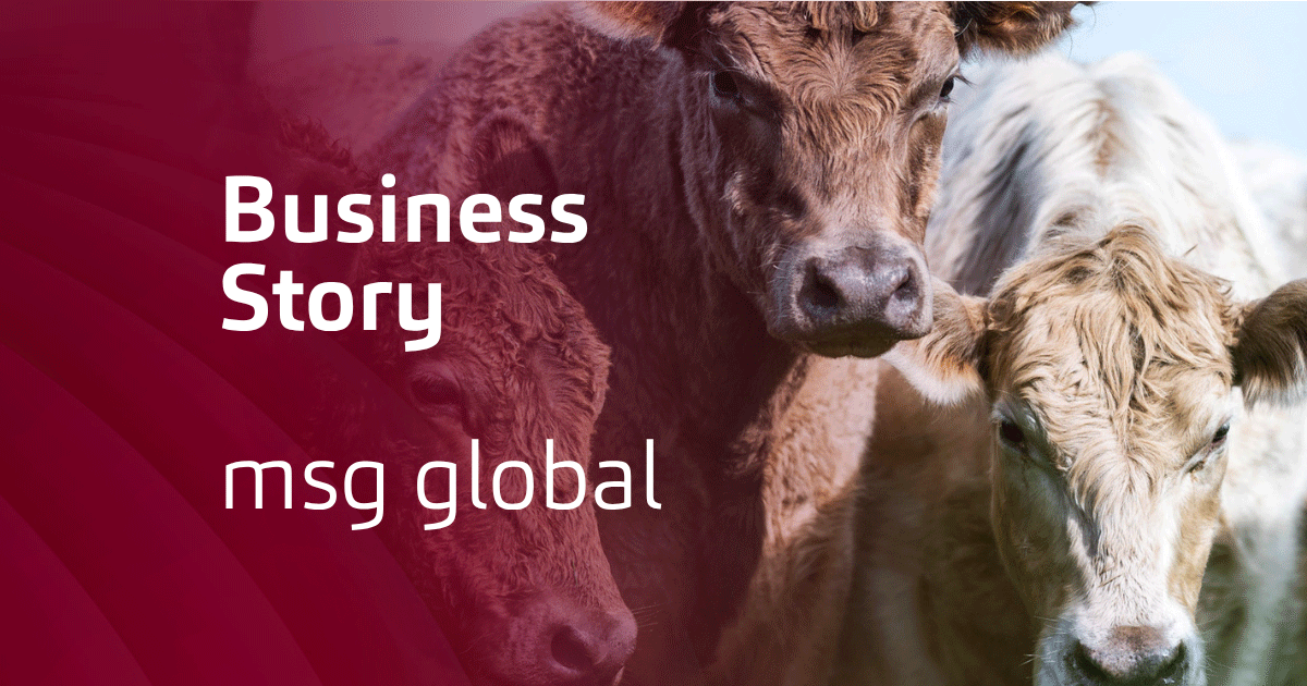 Msg Rethink Integrated business planning for beef production