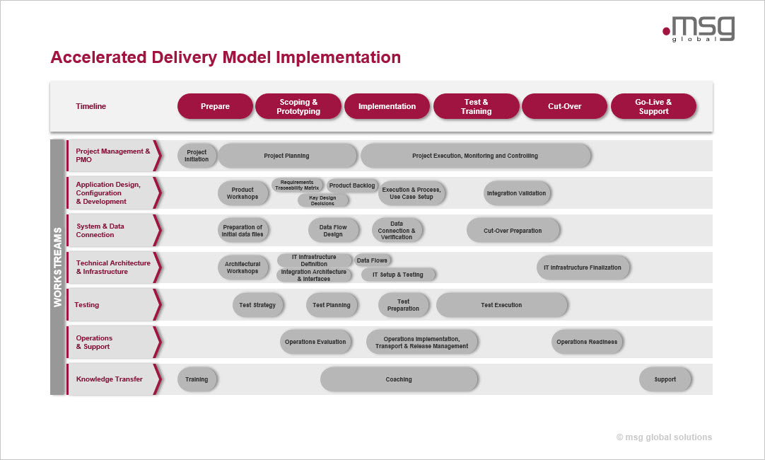 Msg Global Sap Fpsl Implementation Services