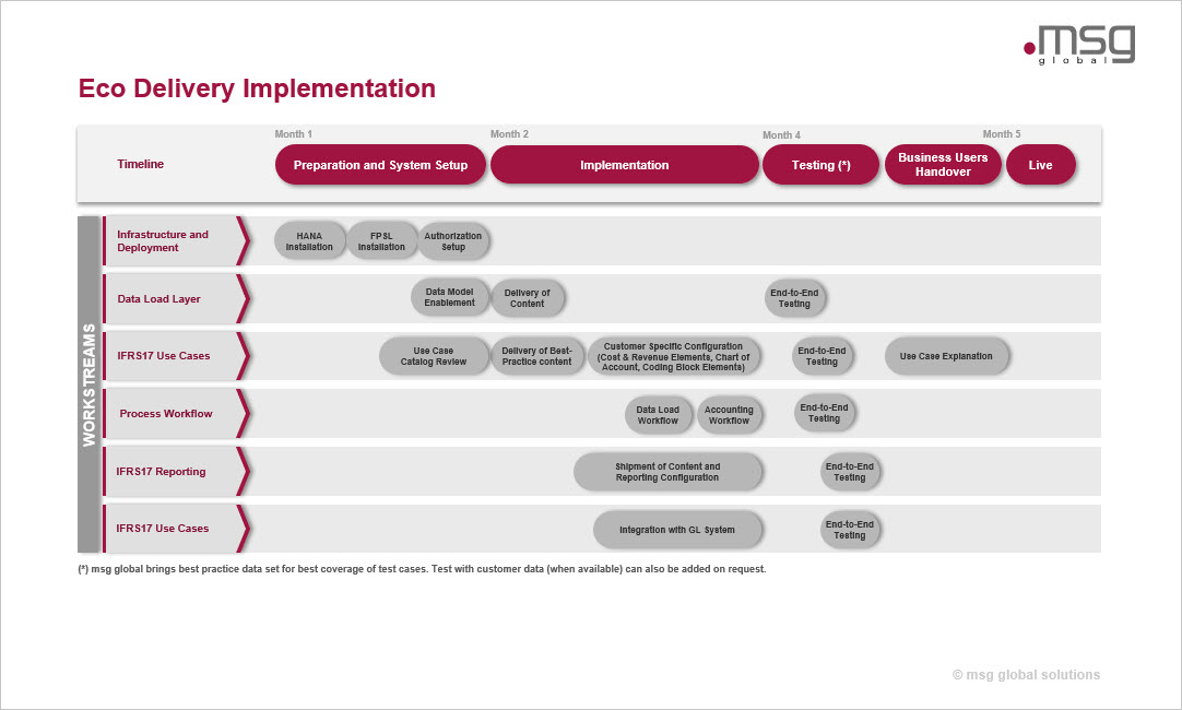 Msg Global Sap Fpsl Implementation Services