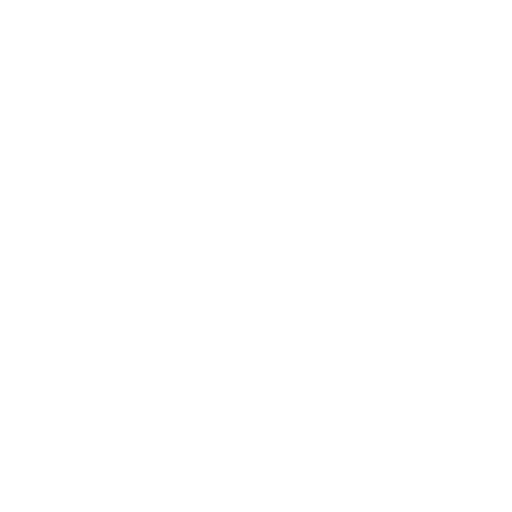 Data Services