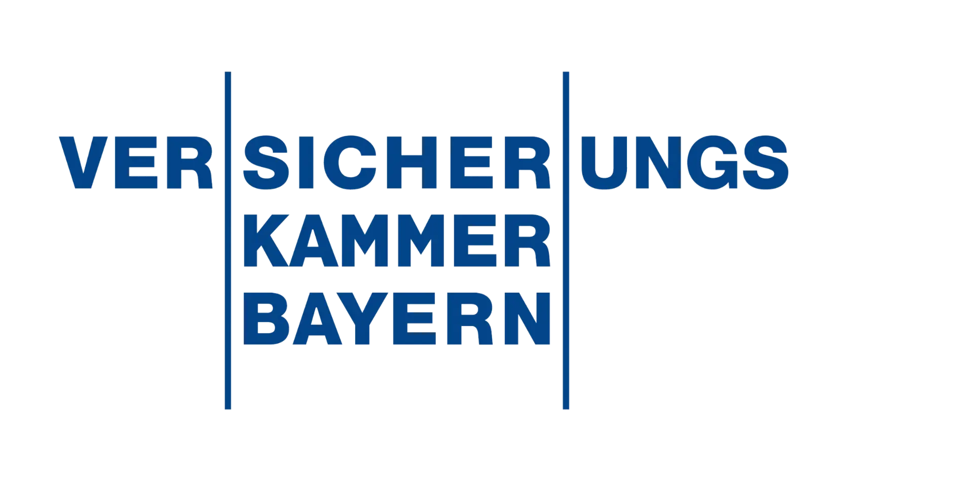 VKB logo 05 png