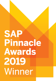 sap pinnacle2019 win rgb lg