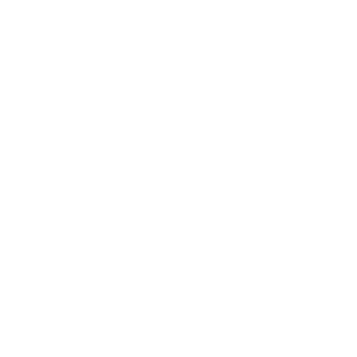 project management